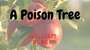 Summary of A Poison Tree [Poem] by William Blake
