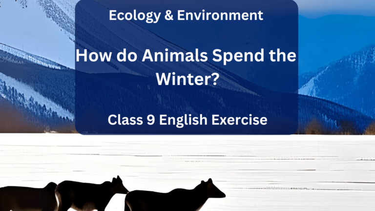 Unit 7 Ecology & Environment: How do Animals Spend the Winter? Class 9 English Exercise