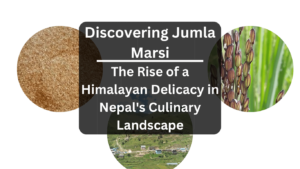 Discovering Jumla Marsi: The Rise of a Himalayan Delicacy in Nepal's Culinary Landscape