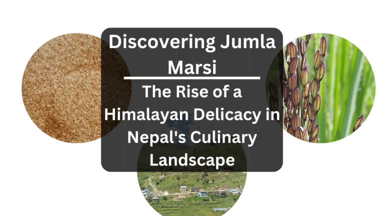 Discovering Jumla Marsi: The Rise of a Himalayan Delicacy in Nepal's Culinary Landscape